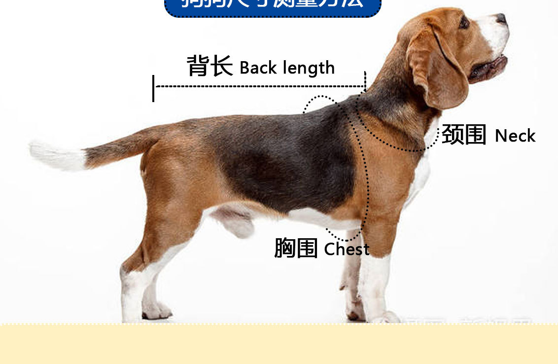 尺码表与测量方法_03