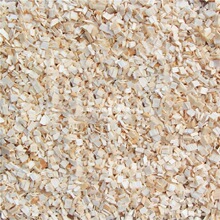 �ח�ľ�ٻ��ח�ľƬľ���}���z�ܻ�֦��Ʒľм�����o�m�ļ��|��