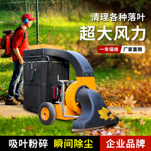 树叶吸扫机手推式树叶收集器 大型吸叶机自走式落叶吸扫车树叶粉-阿里巴巴