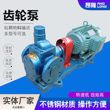 圆弧齿轮泵润滑油输送泵化学粘液输送泵不锈钢齿轮泵厂家供应