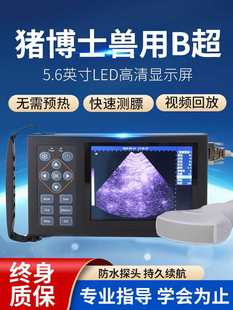 �i�F��b���Cĸ�i���ќy���x��Ȯ�z�y����B����y��ɫ���ó�