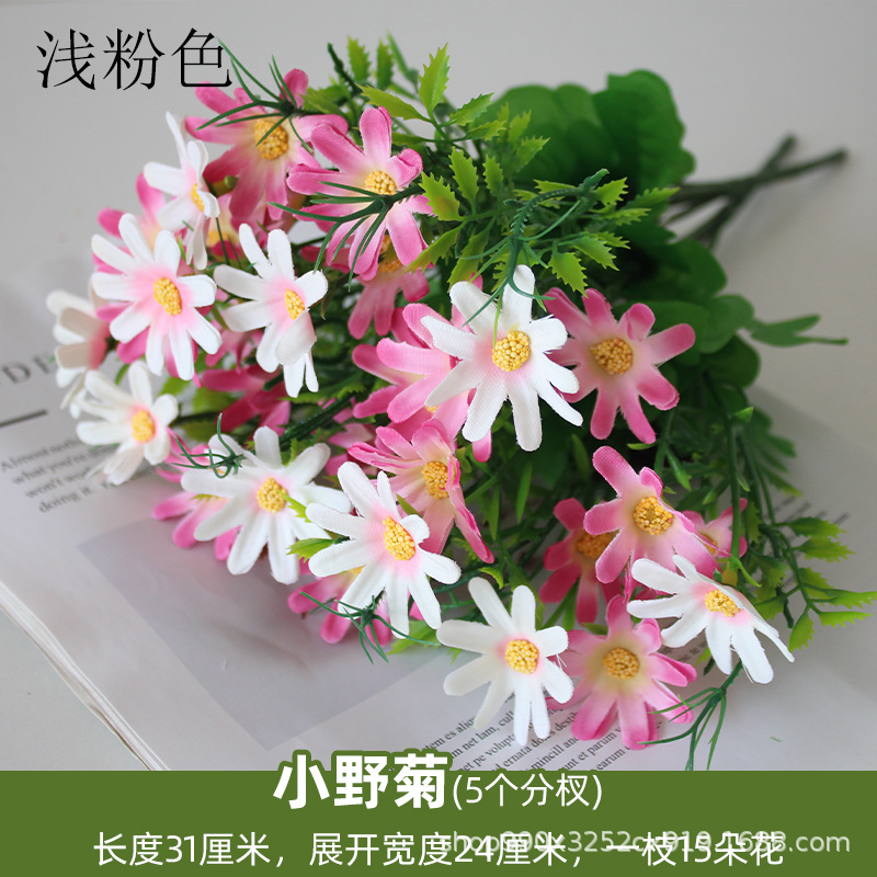 Crisantemo salvaje rosa claro