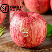 紅富士蘋果批發洛川脆甜多汁當季新鮮水果3斤5斤10斤整箱一件代發