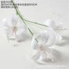 3 golden lilies white