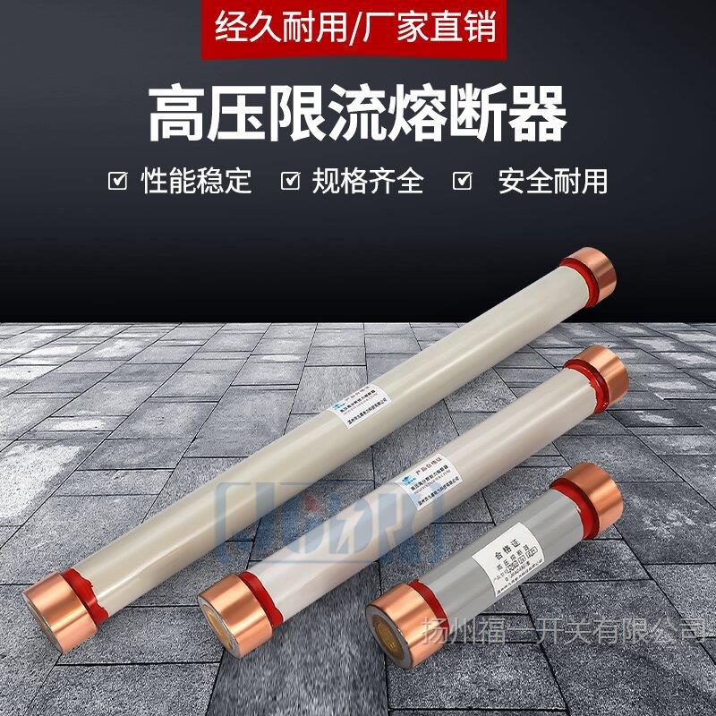 10KV高压限流熔断器 RN2-20KV/0.5A1A2A3.15A 高分断保险管35KV