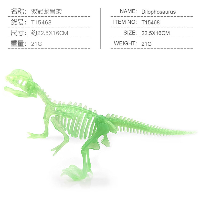 Nueva excavación arqueológica fósil de dinosaurio esqueleto luminoso esqueleto fluorescente clásico Tyrannosaurus Dragon exportación