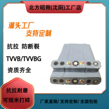 tvvb|CEJC SֱN,| |,Sֱ 