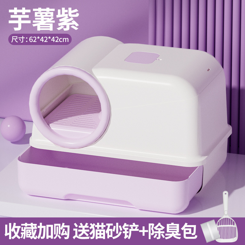 보라색