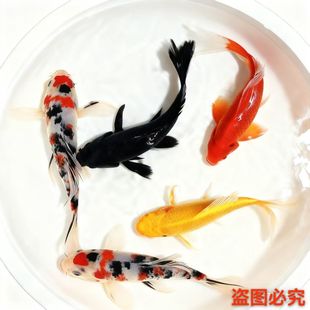 �^�p�~���~��ˮ�~�����~�ͻ��B�����~��ˮ�����絭ˮ�~