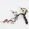 Bonsai plum blossom white