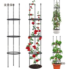 ټܻ֧ΗUٱNޱ¼ͥԺ@ˇֲFɏ̫