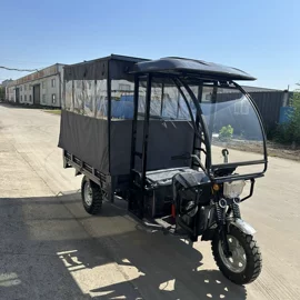 电动三轮车;其他电动车;三轮车