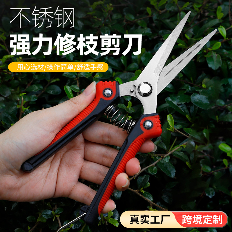 跨境采摘水果剪不锈钢修枝剪刀园艺盆栽花艺树枝剪园艺果树专用剪