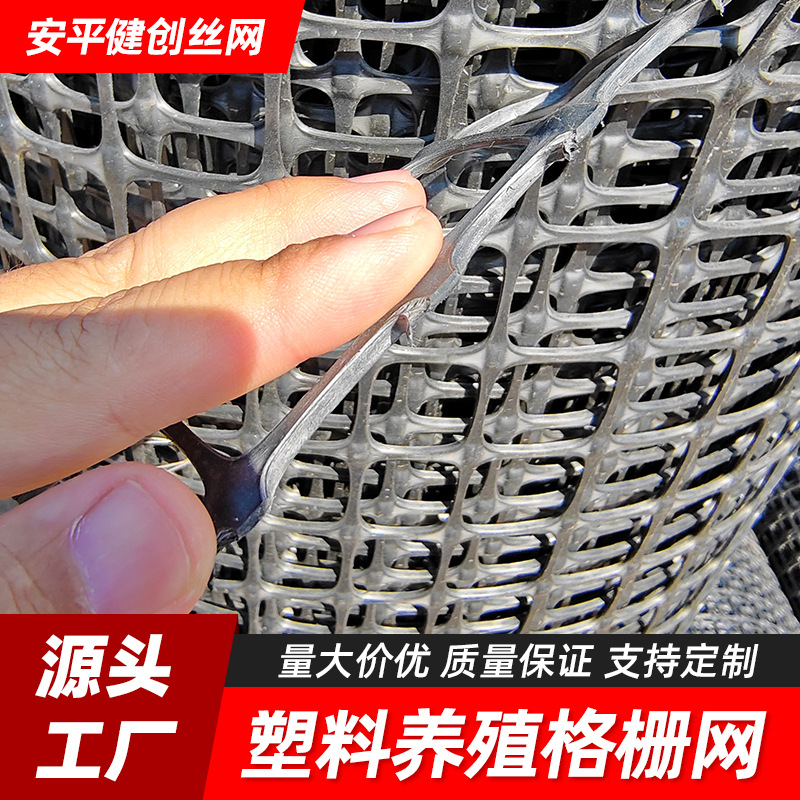 养殖拦鸡网栅栏围栏隔离黑胶网鸡鸭育雏漏粪网土工格栅玉米网护栏