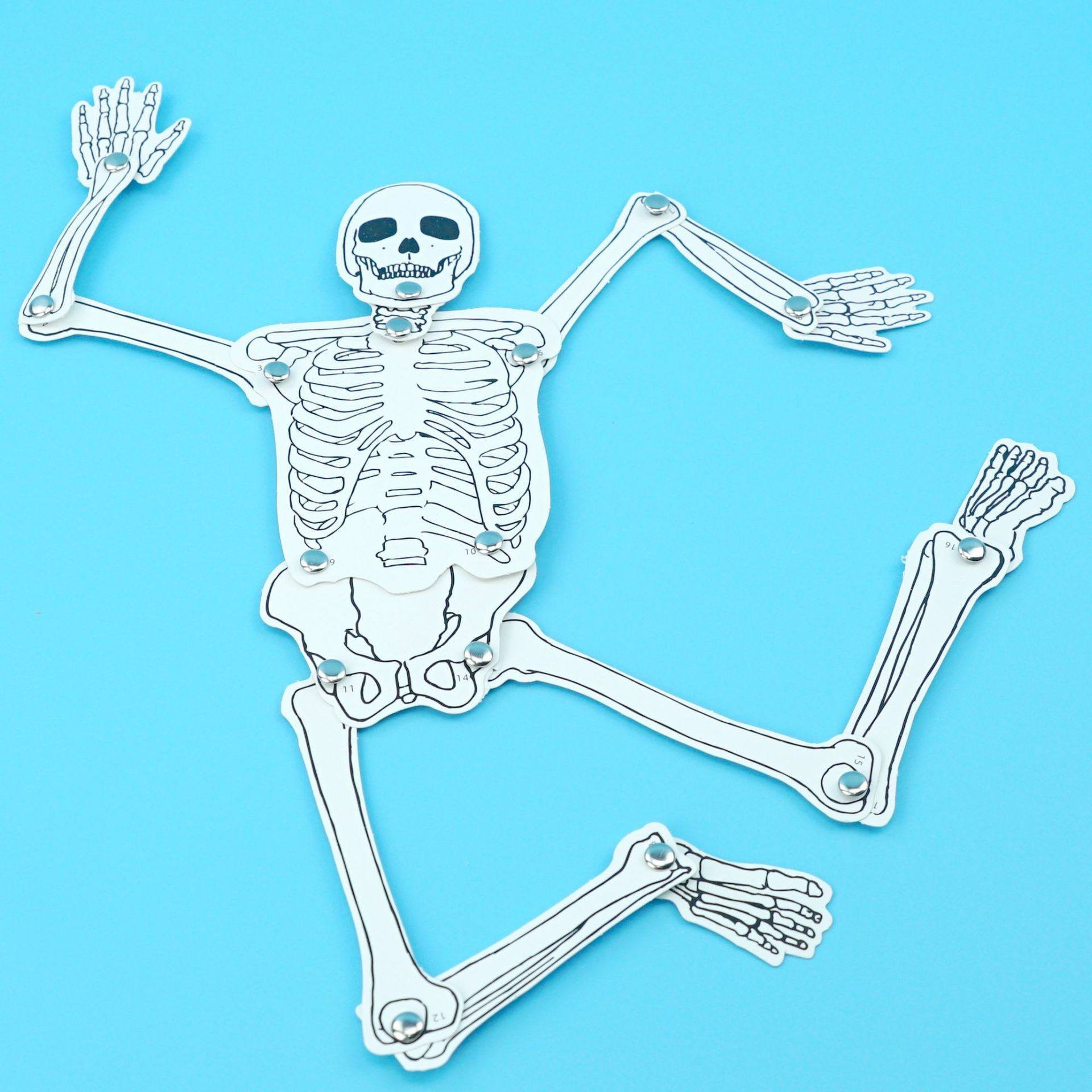 Fuente de fabricación de niños de la ciencia y la tecnología de los estudiantes de primaria pequeños experimentos pequeños inventos kits de materiales de ayuda didáctica