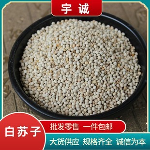 ���K��ɢ�b���K��ʳ��ĥ���K�ѷ��K�ӷ۟������K���Bʳ