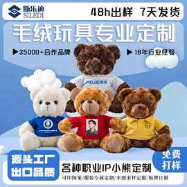 玩偶公仔泰迪熊毛绒玩具定制学校吉祥物娃娃来图来样定做小熊公仔