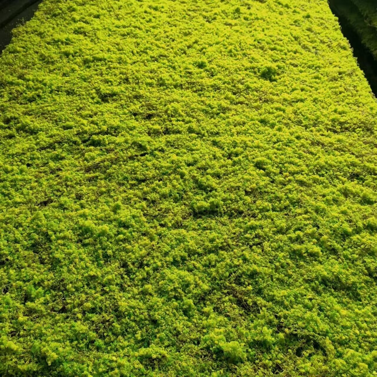 QQ图片20230502141933