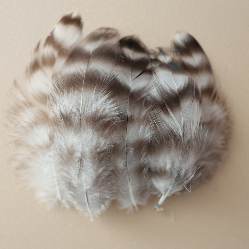 Fábrica al por mayor de bricolaje plumas pequeñas plumas naturales plumas de pollo salvaje plumas de pato jardín de infantes joyas hechas a mano gato divertido material de captura de sueños