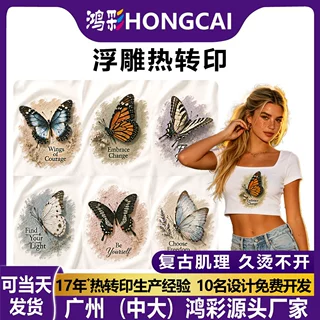 浮雕烫画复古风蝴蝶主题烫图女装服饰热转印印花专注烫画制品输出
