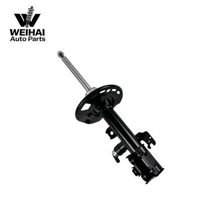 damping system front left and