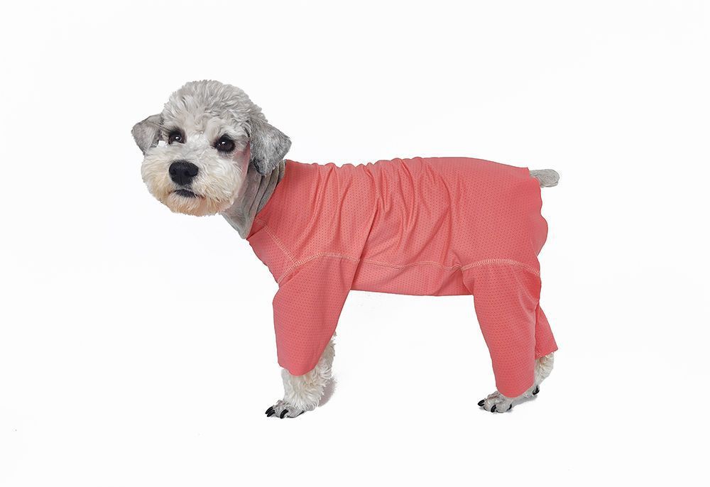 Svalkande hundklänning för bichon solskydd och insektskydd_voghion.com