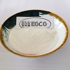 EGCG 98％【100克/袋】綠茶萃取 表沒食子兒茶素沒食子酸酯