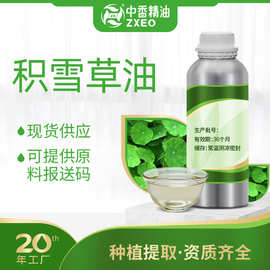 积雪草油支持分装单方香薰精油雷公根可用于化妆品原料可供报送码