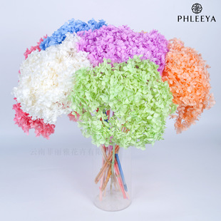 Anna Hydrangea Eternal Flower Dried Hydrangea Simulation Flower Home Decoration DIY Handmade Material Wholesale Single Hydrangea