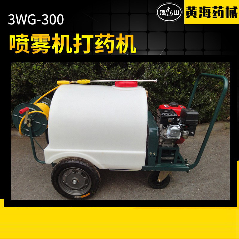 3WG-300植保打药弥雾机果园打药机 手推式机动喷雾机械