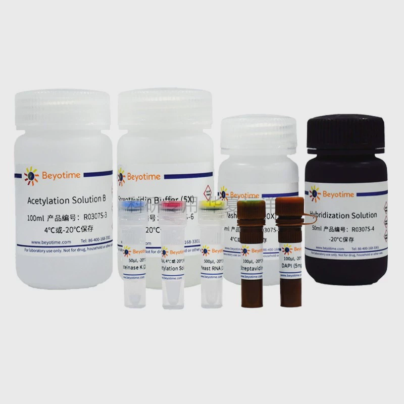 R0307S Biotin Fluorescence in Situ Hybridization Kit for RNA