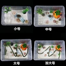 活体寄居蟹宠物饲养箱套装专用沙造景躲避屋水盆攀爬藤海盐螃蟹缸