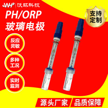 沃环在线PH玻璃电极耐氢氟酸耐重污染自动温补ph电极工业ph计