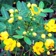 QӷNșɢbRQg~QپGݛQo¹ľN