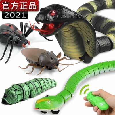 一件代发抖音整蛊助兴玩具电动智能感应避障玩具蛇蜘蛛蟑