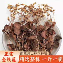 ڽɏx_Ʒ500︣Ͼ·ҰN؛