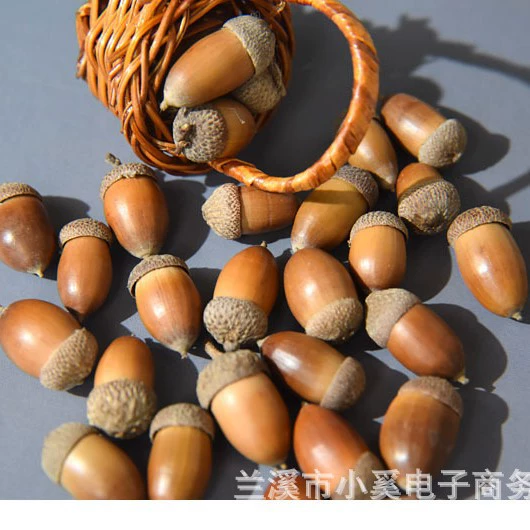 8 natural mini acorns, about 1CM in size