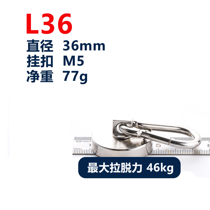 L36 실버(최대 당기는 힘 46kg)