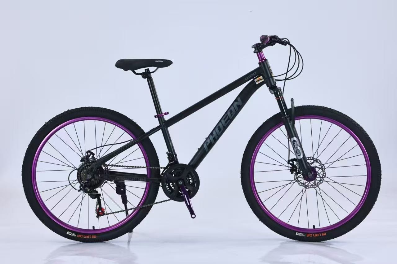 Bicicleta de montaña de cambio de velocidad para adultos