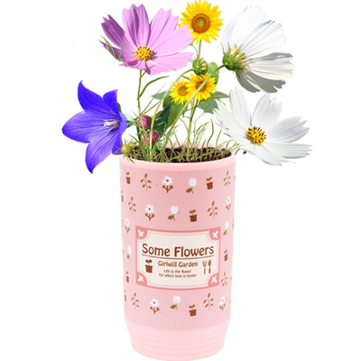 logo定制 易拉罐头花植物diy礼品创意迷你可爱罐头花小盆栽微景观|ms