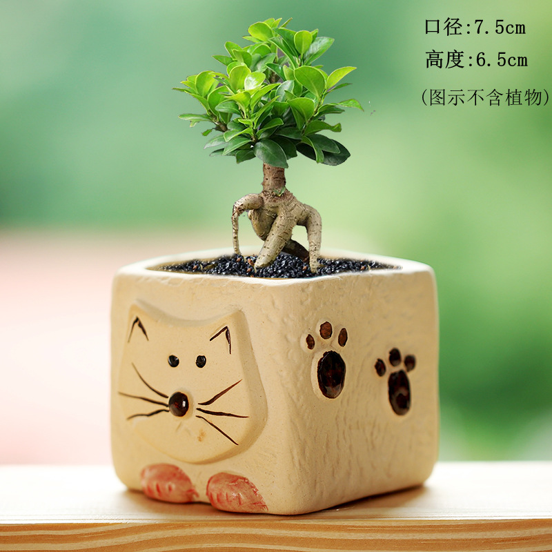 Maceta decorativa con diseño cartoon