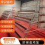 养殖多层层叠式框架蛋鸡笼