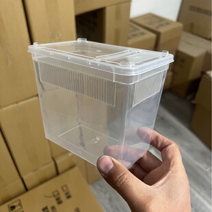 Medium Tree-habitat Reptile Box Feeding Box Feeding Box Silkworm Shougong Ciliary Horn Spider Insect Anti-escape Feeding Box