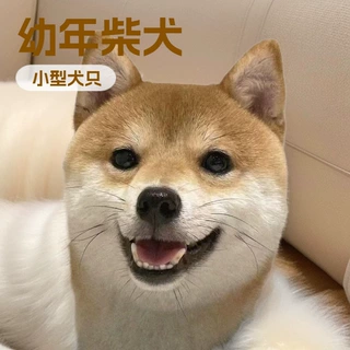 批发定制中型护卫犬幼犬活体狗狗豆柴宠物家庭伴侣犬工作犬玩赏犬