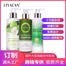 跨境订制植物精油洗发水 Shampoo 茶树油清爽控油蓬松修护洗发露