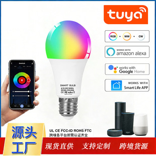 �T�fWIFI���������Z������AIexaȫ��RGBCW�{���{ɫA19