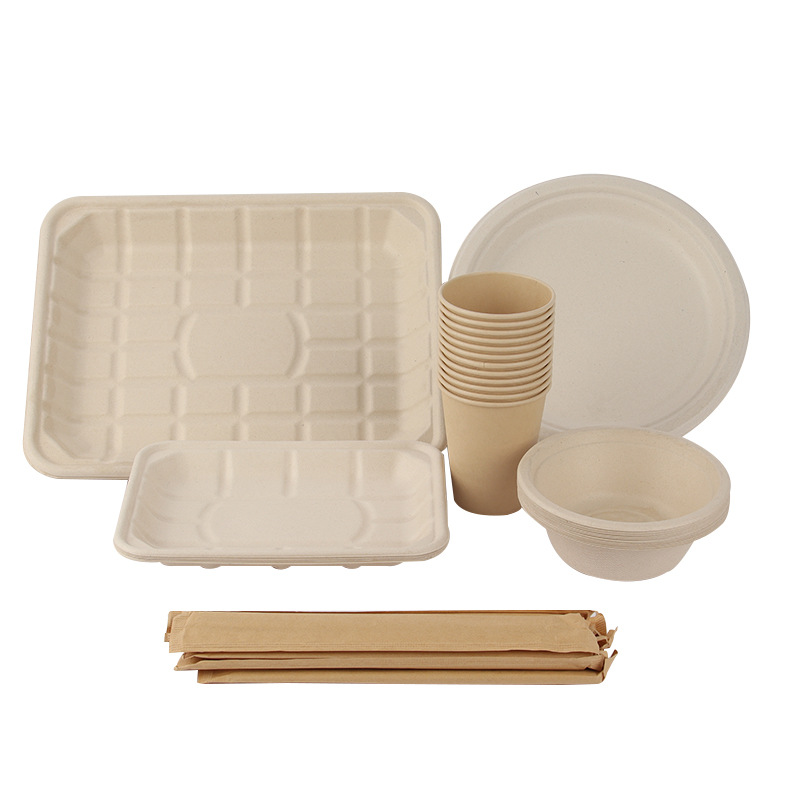 Desechable pulpa degradable plato palillos taza barbacoa plato picnic al aire libre plato de hueso Pulpa de caña de azúcar plato de fruta