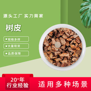 �S�����l�����ô�ĥ�ɘ�Ƥ���[�����ЙC���w��@�־G������Ƥ