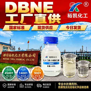 DBNE 2,2 - 二溴 - 2 - 硝基乙醇工业防腐杀菌剂 DBNE