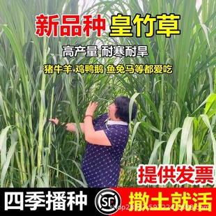 ���ͻ�������ݷN���Ϸ������������ļ��߮a�iţ���u���Z�~�ò���